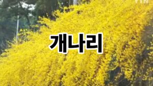 제목을 입력해주세요. 47
