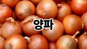 제목을 입력해주세요. 51