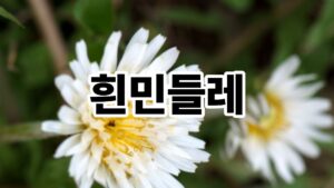 제목을 입력해주세요. 54