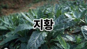 제목을 입력해주세요. 57