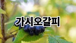 제목을 입력해주세요. 58